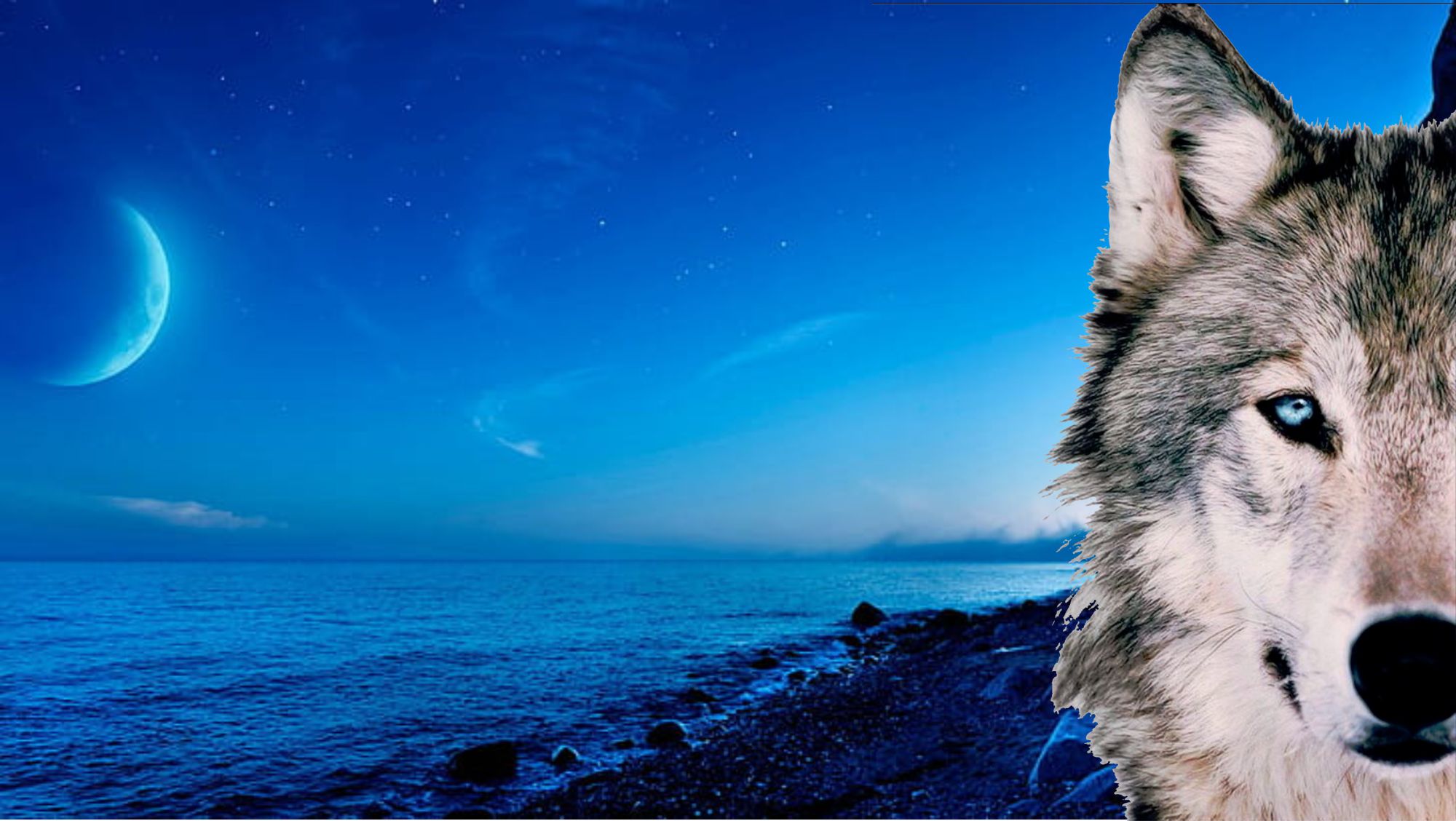 WOLF-BG